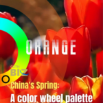 3K9P3KDHUY2X81O7INVP - 🌍NewspaperAmigo – Your Global News Buddy 🗞️ China's Spring Palette: Blossoms, Hikes & Wanderlust 🌸🌄 video poster