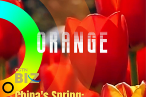 China's Spring Palette: Blossoms, Hikes & Wanderlust 🌸🌄 video poster