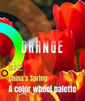 China's Spring Palette: Blossoms, Hikes & Wanderlust 🌸🌄 video poster