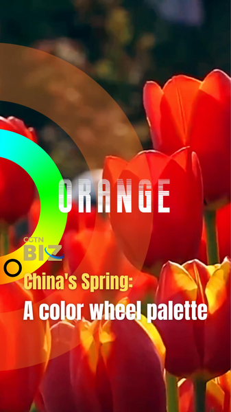 China's Spring Palette: Blossoms, Hikes & Wanderlust 🌸🌄 video poster