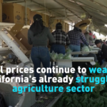 California Farmers Battle Soaring Fuel Costs Amid Iran Conflict 🌱💸 video poster