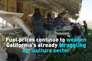 California Farmers Battle Soaring Fuel Costs Amid Iran Conflict 🌱💸 video poster