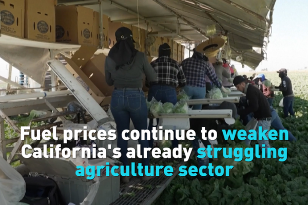 California Farmers Battle Soaring Fuel Costs Amid Iran Conflict 🌱💸 video poster