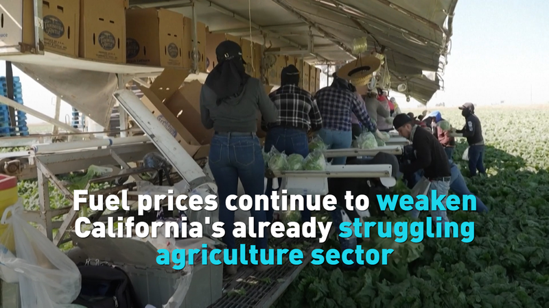 4HW2PHJTQMDBOHTL041L - 🌍NewspaperAmigo – Your Global News Buddy 🗞️ California Farmers Battle Soaring Fuel Costs Amid Iran Conflict 🌱💸 video poster