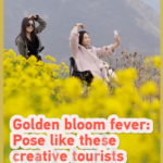 Golden Bloom Fever Takes Over Shanxi’s Rapeseed Fields 🌼📸 video poster