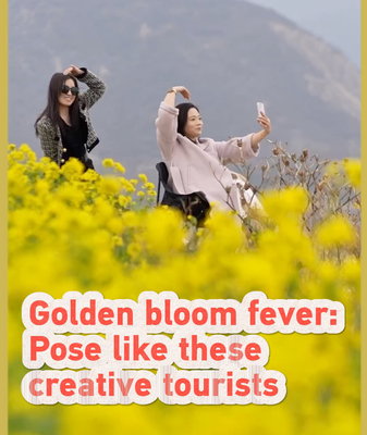 Golden Bloom Fever Takes Over Shanxi’s Rapeseed Fields 🌼📸 video poster