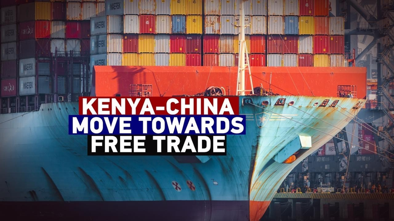 China's Duty-Free Deal Sparks Africa's Industrial Shift 🌍🚀 video poster