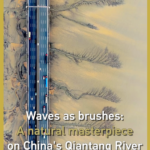 Nature’s Canvas: Qiantang River’s ‘Tidal Trees’ Stun During Qingming Festival 🌊🎨 video poster