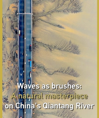 Nature’s Canvas: Qiantang River’s ‘Tidal Trees’ Stun During Qingming Festival 🌊🎨 video poster