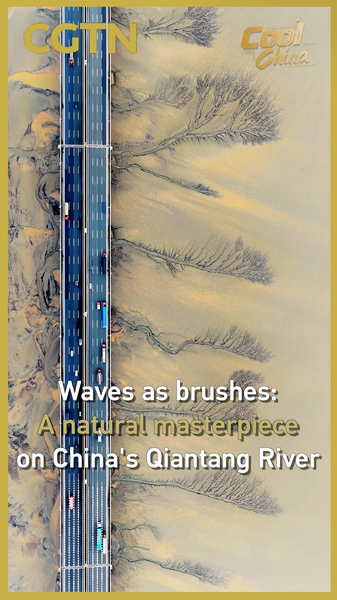 Nature’s Canvas: Qiantang River’s ‘Tidal Trees’ Stun During Qingming Festival 🌊🎨 video poster