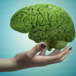 Chinese Scientists Unlock Brain's Thought-Switching Secret 🧠✨