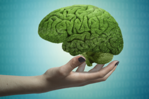 Chinese Scientists Unlock Brain's Thought-Switching Secret 🧠✨