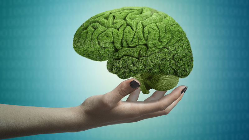 Chinese Scientists Unlock Brain's Thought-Switching Secret 🧠✨