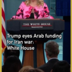 Trump Seeks Arab Funds for Iran Action as April 6 Deadline Nears 🌍⚡ video poster