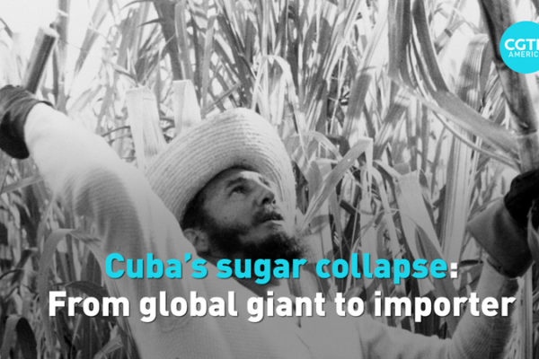 Cuba’s Sugar Crisis: From Global Leader to Importer in 2026 🚨 video poster