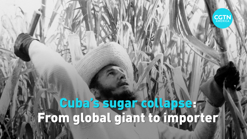 Cuba’s Sugar Crisis: From Global Leader to Importer in 2026 🚨 video poster