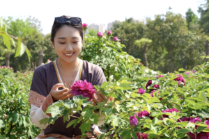 Heze Peonies Bloom into Global Empire 🌸💼 video poster