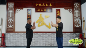 From Shunde to Stardom: Bruce Lee's Roots Revealed 🌟🥋 video poster
