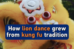 From Kung Fu to Cultural Icon: The Lion Dance Evolution 🦁🎉 video poster