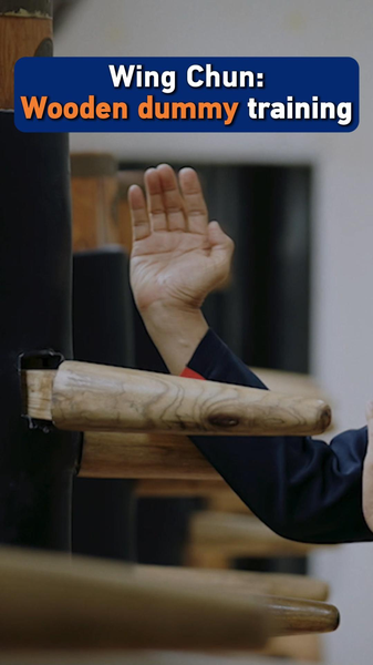 Wing Chun's Wooden Dummy: Ancient Kung Fu Meets Modern Discipline 🌏🥋 video poster