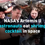 Artemis II Astronauts Spice Up Space with Shrimp Cocktail 🍤🚀 video poster