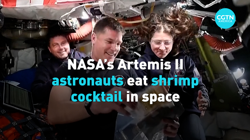 8PV2KNKGFEC9W3J3B5P5 - 🌍NewspaperAmigo – Your Global News Buddy 🗞️ Artemis II Astronauts Spice Up Space with Shrimp Cocktail 🍤🚀 video poster
