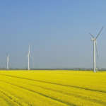 98TK2G2YM0GRRLJFML5F - 🌍NewspaperAmigo – Your Global News Buddy 🗞️ China’s Green Tech Revolution Powers Global Clean Energy Shift 🌍💨