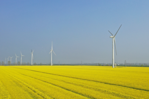 China’s Green Tech Revolution Powers Global Clean Energy Shift 🌍💨