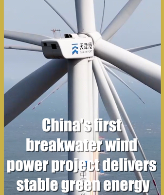 China’s Breakwater Wind Project Powers 135M kWh Annually 🌊💡 video poster