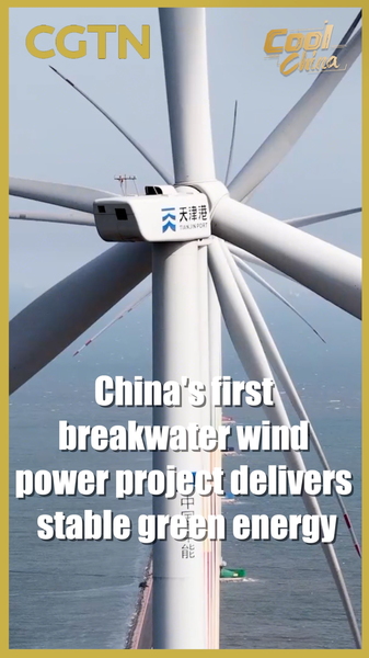 China’s Breakwater Wind Project Powers 135M kWh Annually 🌊💡 video poster