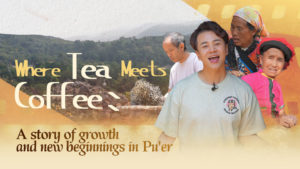 Pu’er’s Youth Brew Fresh Opportunities in Tea and Coffee 🌱☕ video poster