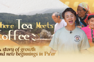 Pu’er’s Youth Brew Fresh Opportunities in Tea and Coffee 🌱☕ video poster