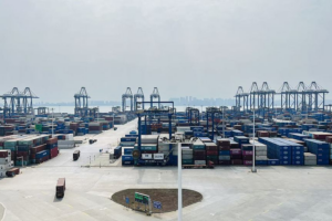 Yangpu Port Sees 94% Surge in Q1 Cargo Traffic 🚢📈