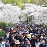 China Gears Up for Qingming Holiday Travel Surge 🌏✈️