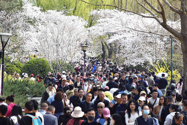 China Gears Up for Qingming Holiday Travel Surge 🌏✈️