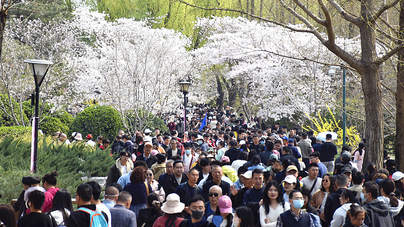 China Gears Up for Qingming Holiday Travel Surge 🌏✈️