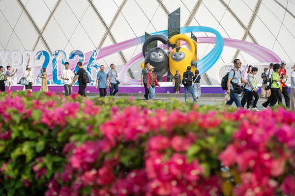 Hainan Expo 2026 Fuels Global Two-Way Consumer Boom 🌍✨