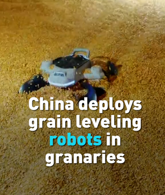 China Deploys AI-Powered Grain Robots to Boost Efficiency 🌾🤖 video poster