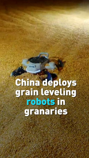 China Deploys AI-Powered Grain Robots to Boost Efficiency 🌾🤖 video poster