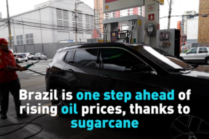 Brazil’s Sugarcane Power Fuels Energy Revolution 🌱⚡ video poster