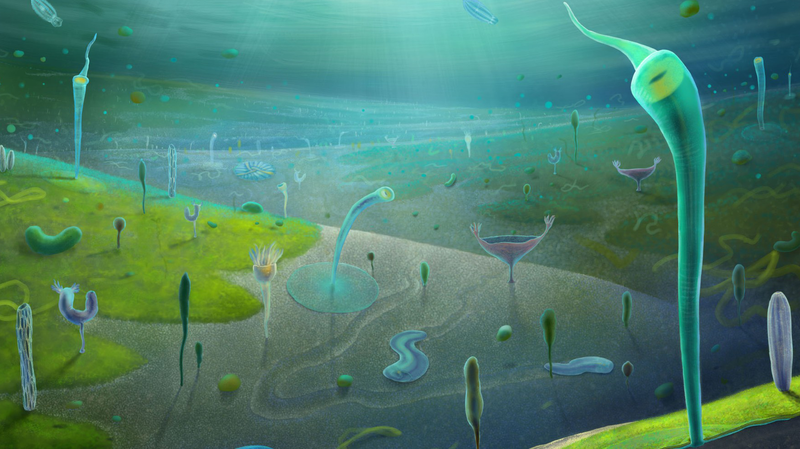 CACHCOS2JBUHEUOCWCF1 - 🌍NewspaperAmigo – Your Global News Buddy 🗞️ Ancient Animal Fossils Rewrite Evolutionary History 🌍🔍