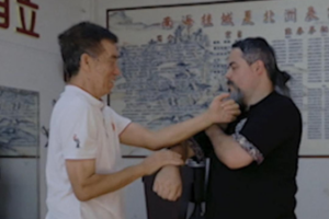Wing Chun's Chi Sau: The Secret Weapon in Modern Martial Arts 🌟🥋 video poster
