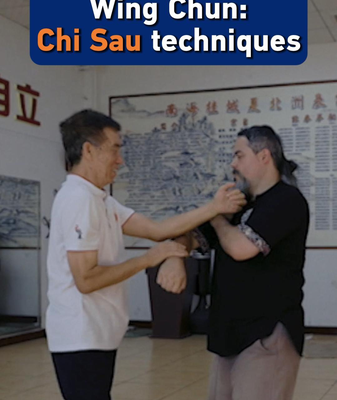 Wing Chun's Chi Sau: The Secret Weapon in Modern Martial Arts 🌟🥋 video poster
