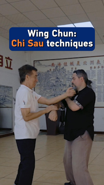 Wing Chun's Chi Sau: The Secret Weapon in Modern Martial Arts 🌟🥋 video poster