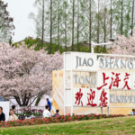 CPW0YIT45D17U5MTURUR - 🌍NewspaperAmigo – Your Global News Buddy 🗞️ Xi Calls for Education & Tech Boost to Power China's Future 🚀