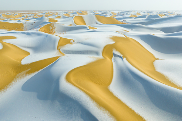 🌱 Machines vs. Desert: Xinjiang's 2026 Green Revolution