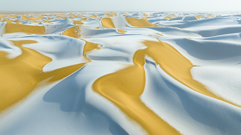 🌱 Machines vs. Desert: Xinjiang's 2026 Green Revolution