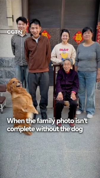 Paws in the Frame: Dog Steals Spotlight in Viral Family Photo 🐾📸 video poster