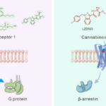 Chinese Scientists Develop Breakthrough Addiction-Free Pain Relief 🌱💊