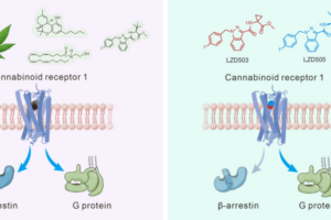 Chinese Scientists Develop Breakthrough Addiction-Free Pain Relief 🌱💊